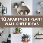 Apartment Plant Wall Shelf Ideas
