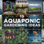 Aquaponic Gardening Ideas