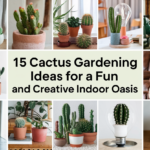 Cactus Gardening Ideas
