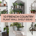 French Country Plant Wall Shelf Ideas