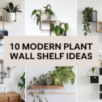 Modern Plant Wall Shelf Ideas
