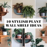Stylish Plant Wall Shelf Idea