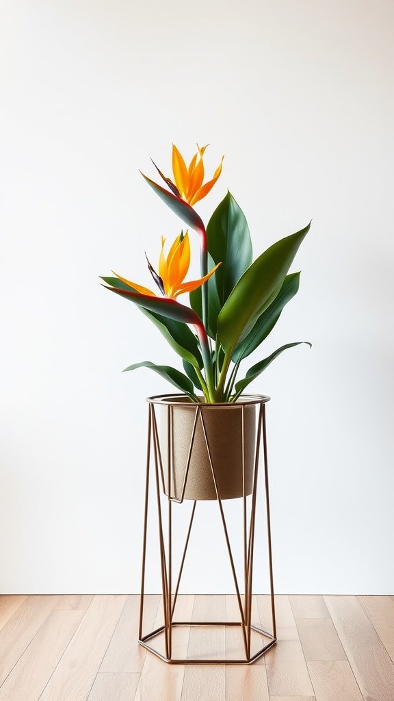 A Bird of Paradise plant in a geometric metal frame stand, featuring vibrant flowers and lush green leaves.